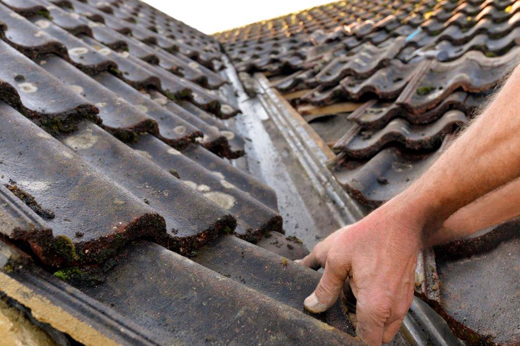 Roofer: Image 2